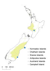 Cotoneaster perpusillus distribution map based on databased records at CHR. 
 Image: K. Boardman © Landcare Research 2017 CC BY 3.0 NZ